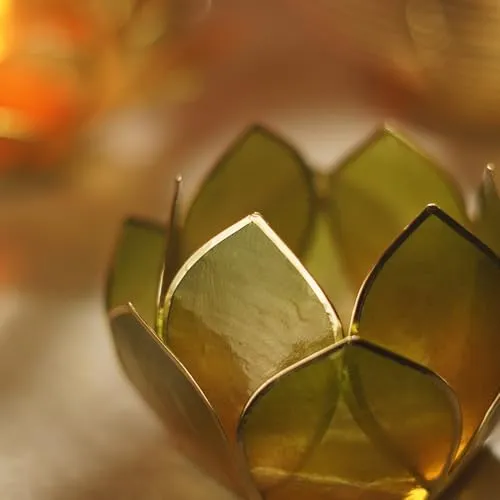 Pure Home   Living Amber & Green Ombre 12 Petals Capiz Tealight Holder