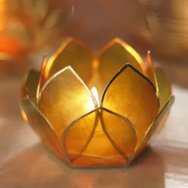 Pure Home   Living Amber & Green Ombre 12 Petals Capiz Tealight Holder