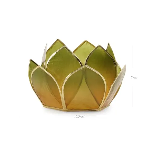 Pure Home   Living Amber & Green Ombre 12 Petals Capiz Tealight Holder
